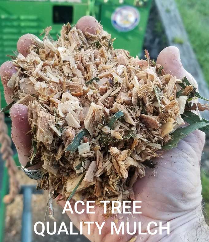 Decomposing tree chips enriching soil in Pismo Beach, CA